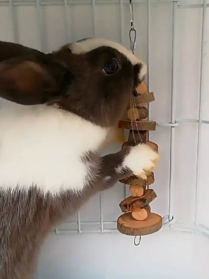 1pc-Simple wooden apple wood chew toy rabbit, chew stick, round wood teeth grinding rope, small pet toy