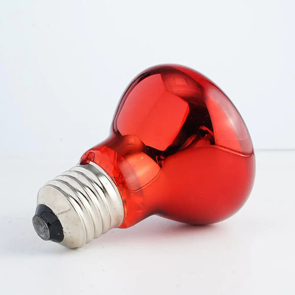 E27 Poultry Heating Bulb 25W-100W Infrared Insulation Heating For Reptiles Plants Amphibians Pets Livestock Lamp Tools