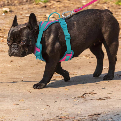 Splicing Colors Breathable For Medium No Pull Dog Harness for large Small dogs Adjustable Chest Strap Dog Harness Personalized