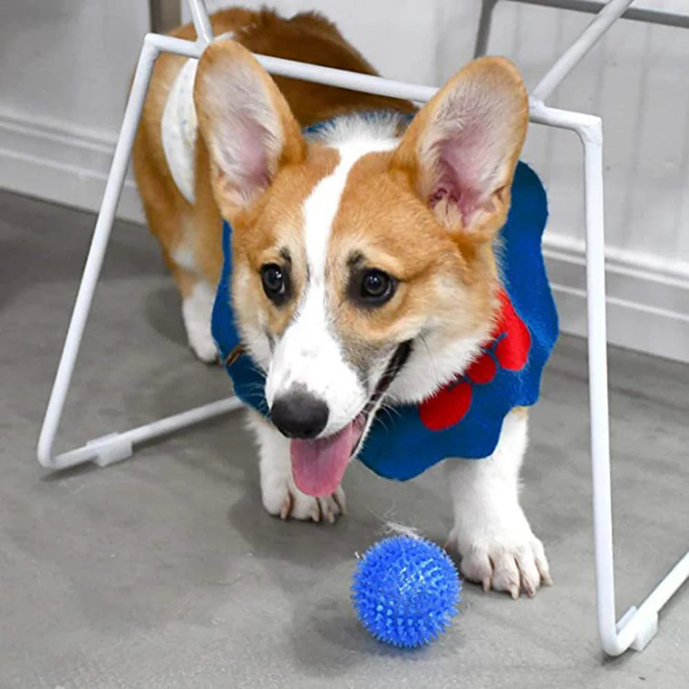 Bite Resistant Pet Chew Ball Toys for Small Large Dogs Elastic Buoyant Squeaky Puppy Big Dog Toy Border Shepherd Collie Supplies