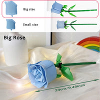 1 Big  Blue Rose