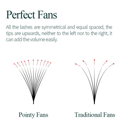 Song lashes Promade Fans 3D-10D07Pointy base loose fans Sharp thin root Korea PBT material 500 Fans Eyelash Extensions Choice