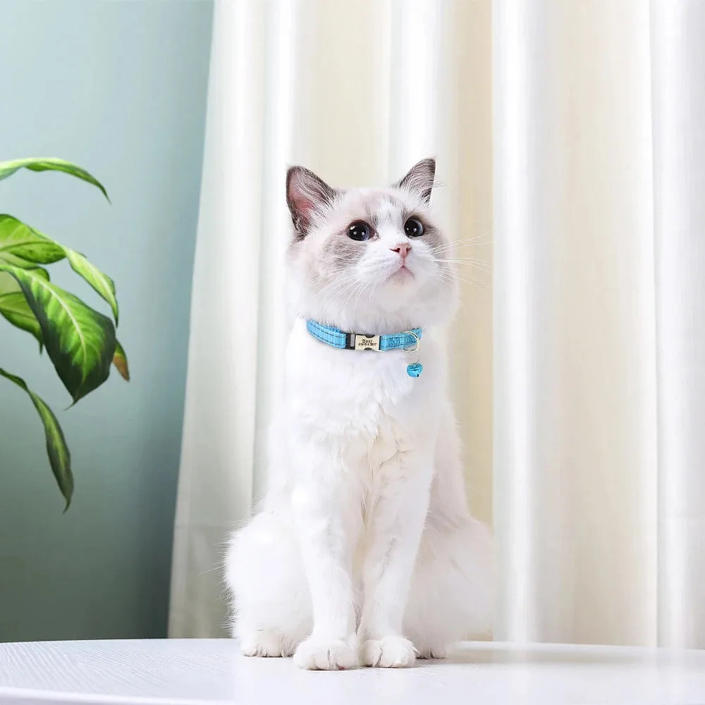 Personalized Name Cat Collar Reflective Nylon Dog Cats ID Collar With Bell Engraving Name for Small Cats Dogs Chihuahua 6 Colors