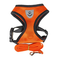 7-Orange