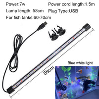 58cm  Blue White