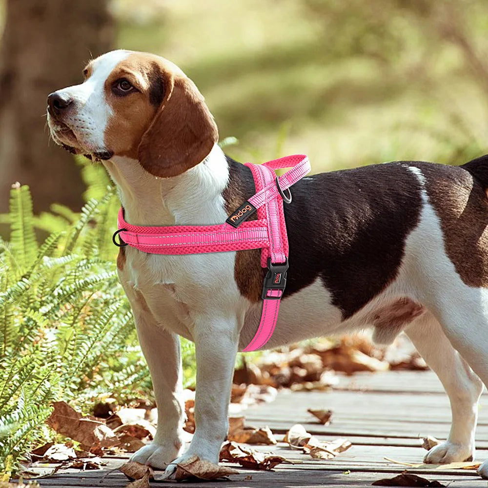 Warm Dog Harness Vest Winter Dog Harnesses Soft Padded Pet Training Harnesses Vests Adjustable For Small Large Dogs Bulldog Pug