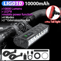 LIG010 305