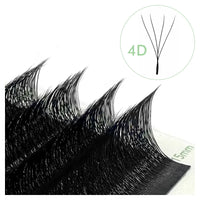4D W Black
