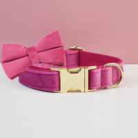 Bow Collar23