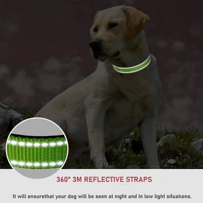 Choker Small Dog Collar Puppy Neck Collars for Dogs Big Decorative Dog Collar GXQ07