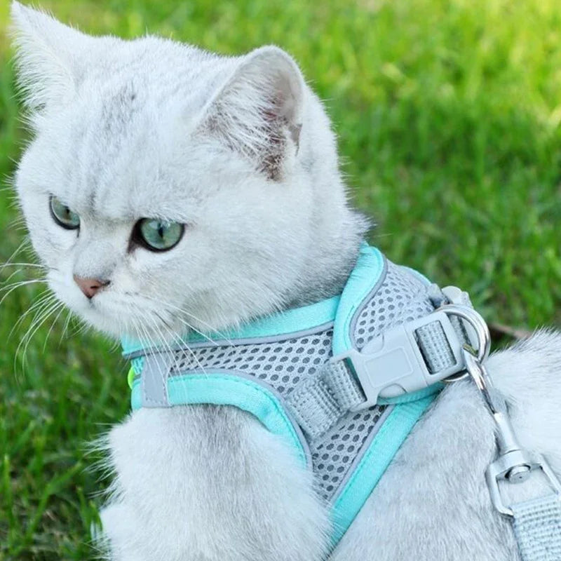 Soft mesh dog chest strap, suitable for training walks, adjustable dog vest, suitable for small and medium-sized dogs and cats