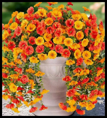 1/2Pcs Artificial Flowers Vine Morning Glory Wedding Bridal Home Room Table Festival Decor Outdoor Yard Garden Arch DIY Gift Box
