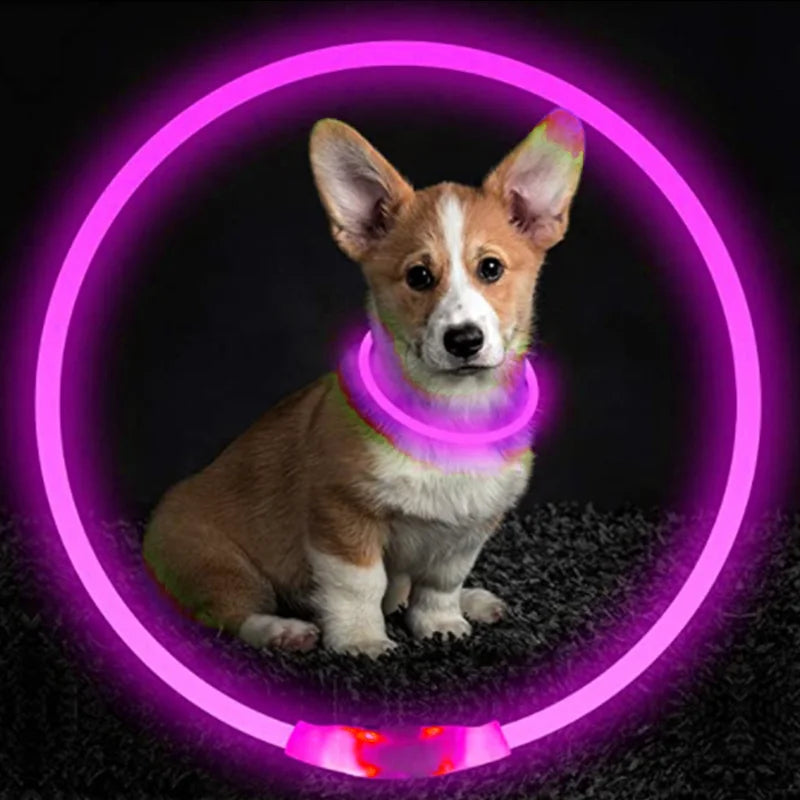 USB Charging Necklace Led Luminous Dog Collar Light , Flashing DIY Glowing Safety Anti Lost Cat Dogs Collar Accessories Supplies