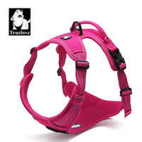 TLH5651-FUCHSIA