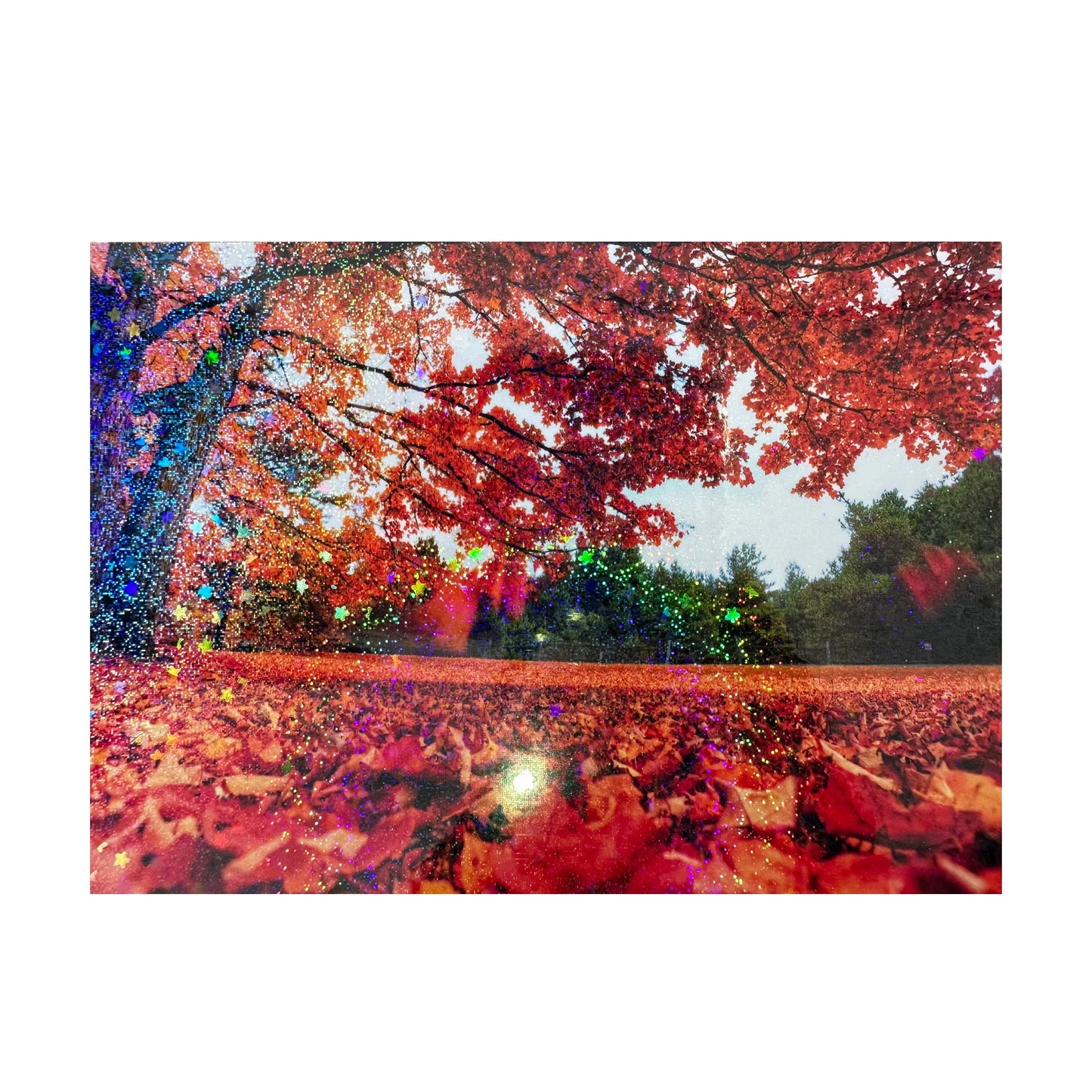 50 Sheets Sand Stars Holographic Sticker Paper 2.9×4.1 inch Glitter Clear Holographic Overlay Cold Laminating Film Self Adhesive