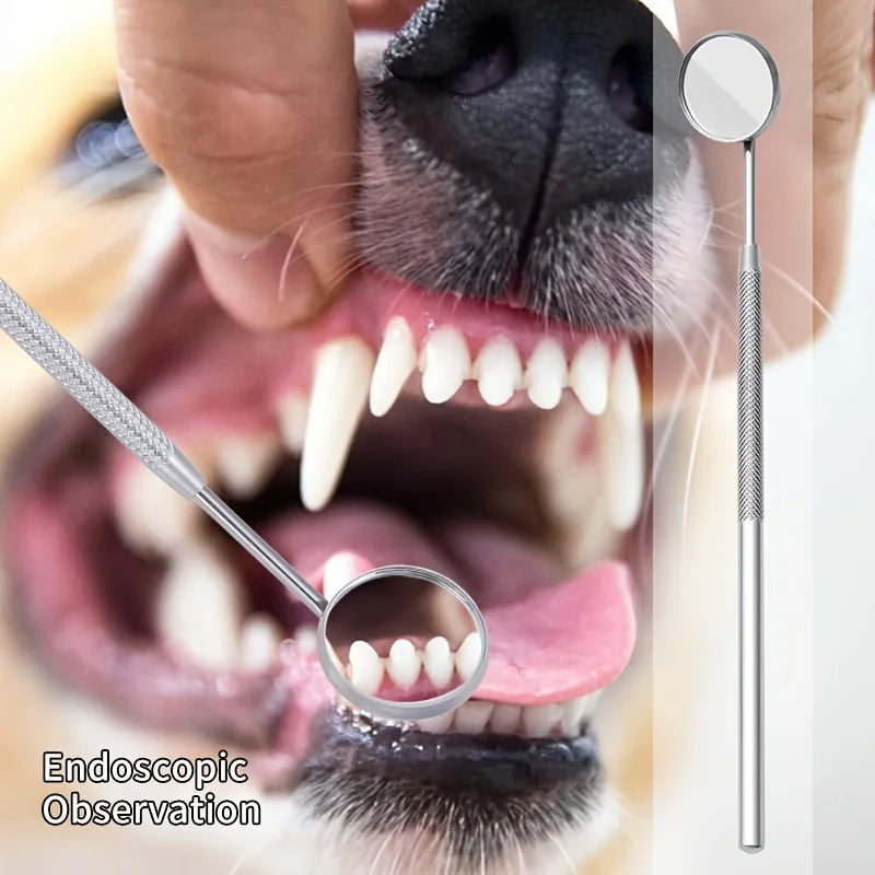 [6pcs Soundwave Tartar Remover] 6pcs Soundwave Tartar Remover for Dogs and Cats | Dental Cleaning and Tartar Kit | Teeth Cleaner