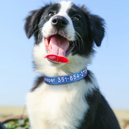 Embroidered Nylon Dog Collar Personalized Puppy Cat Collars Reflective Pet ID Collars DIY Phone Name ID For Small Large Dog Cat