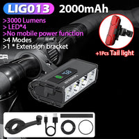 LIG013 305