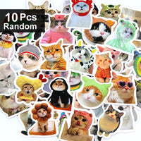 10pcs random