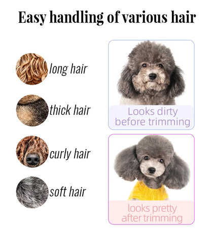 Fenice 6//6.5/7/7.5 Inch Professional Pet Dogs Grooming Scissors Set Straight&Curved &Thinner&Chunker Shear Scissors