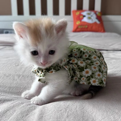 Summer Cotton Sphynx Cat Suspender Skirt Love Flower Pet Princess Dresses for Cats Gotas Katten Kedi Dog Dress mascotas Clothes