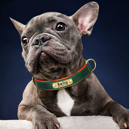 Personalized PU Leather Dog Collar Soft Padded Dog Collars Free Custom Pet ID Name Necklace for Small Medium Large Dogs Pitbull
