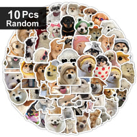 10pcs random