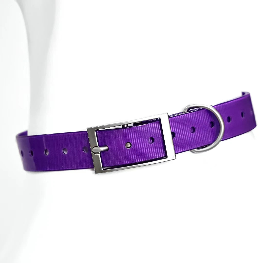 2.5cm Wide Heavy Duty TPU Dog Collar Waterproof Hunting Adjustable Pet Collar 8 Colors For Large Medium Dogs Outdoor Training