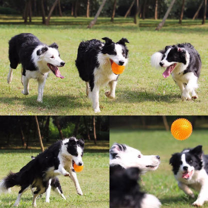 Bite Resistant Pet Chew Ball Toys for Small Large Dogs Elastic Buoyant Squeaky Puppy Big Dog Toy Border Shepherd Collie Supplies