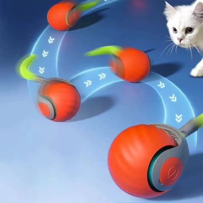 Speedy Tail 2.0 Cat Toys Generation Interactive Toy Ball For Cat 2 Speed Adjustment Automatic Moving Ball with Replacement Tail