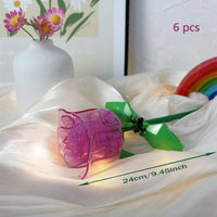 6pc transparent Pink