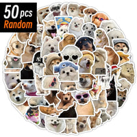 50 Pcs Random