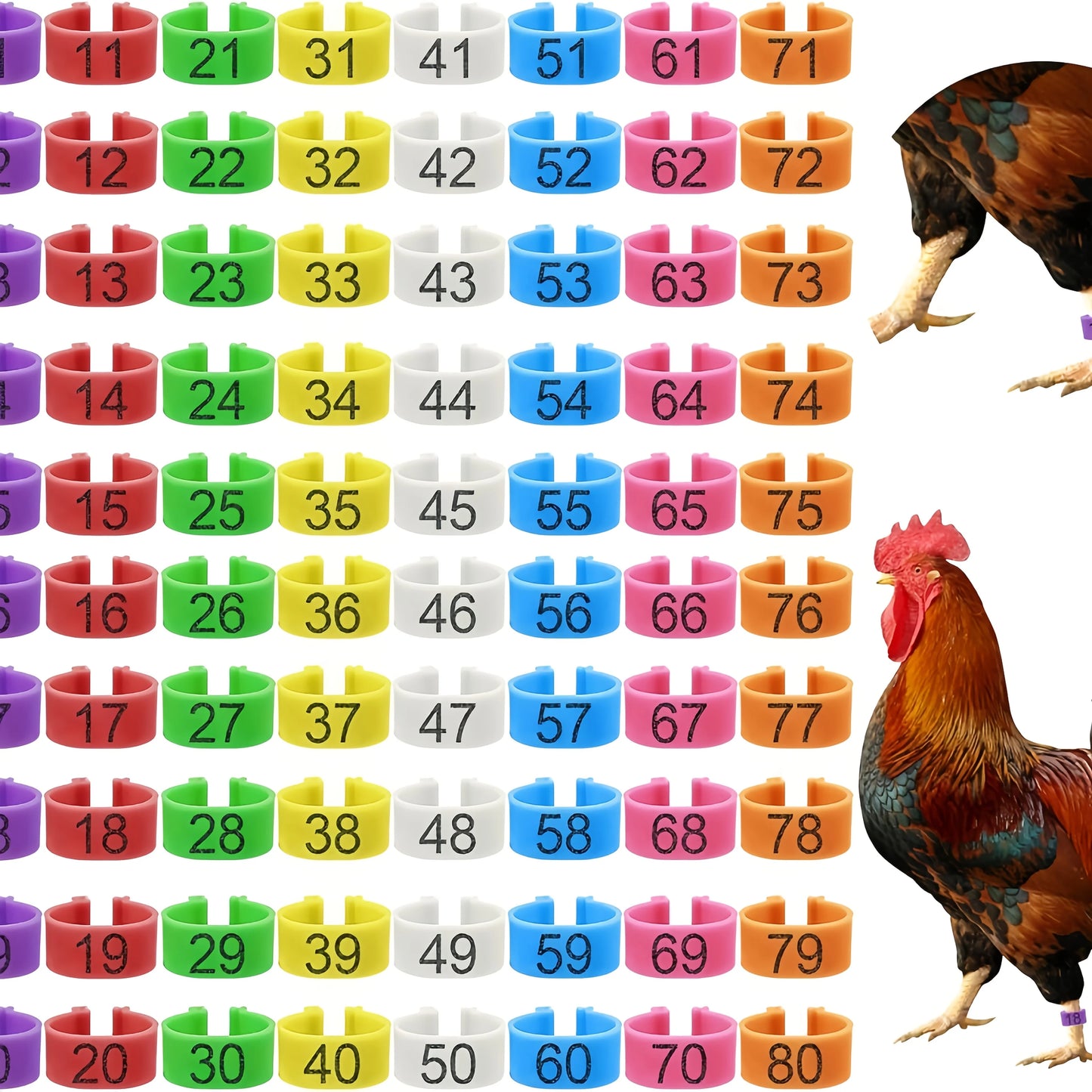 Farm Tag Rings, Chicken Leg Bands with Number Identification Hens Roosters, Poultry Foot Tags Breeding Chickens, Ducks, Geese