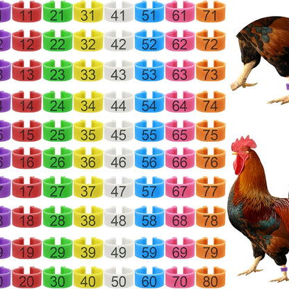 Farm Tag Rings, Chicken Leg Bands with Number Identification Hens Roosters, Poultry Foot Tags Breeding Chickens, Ducks, Geese