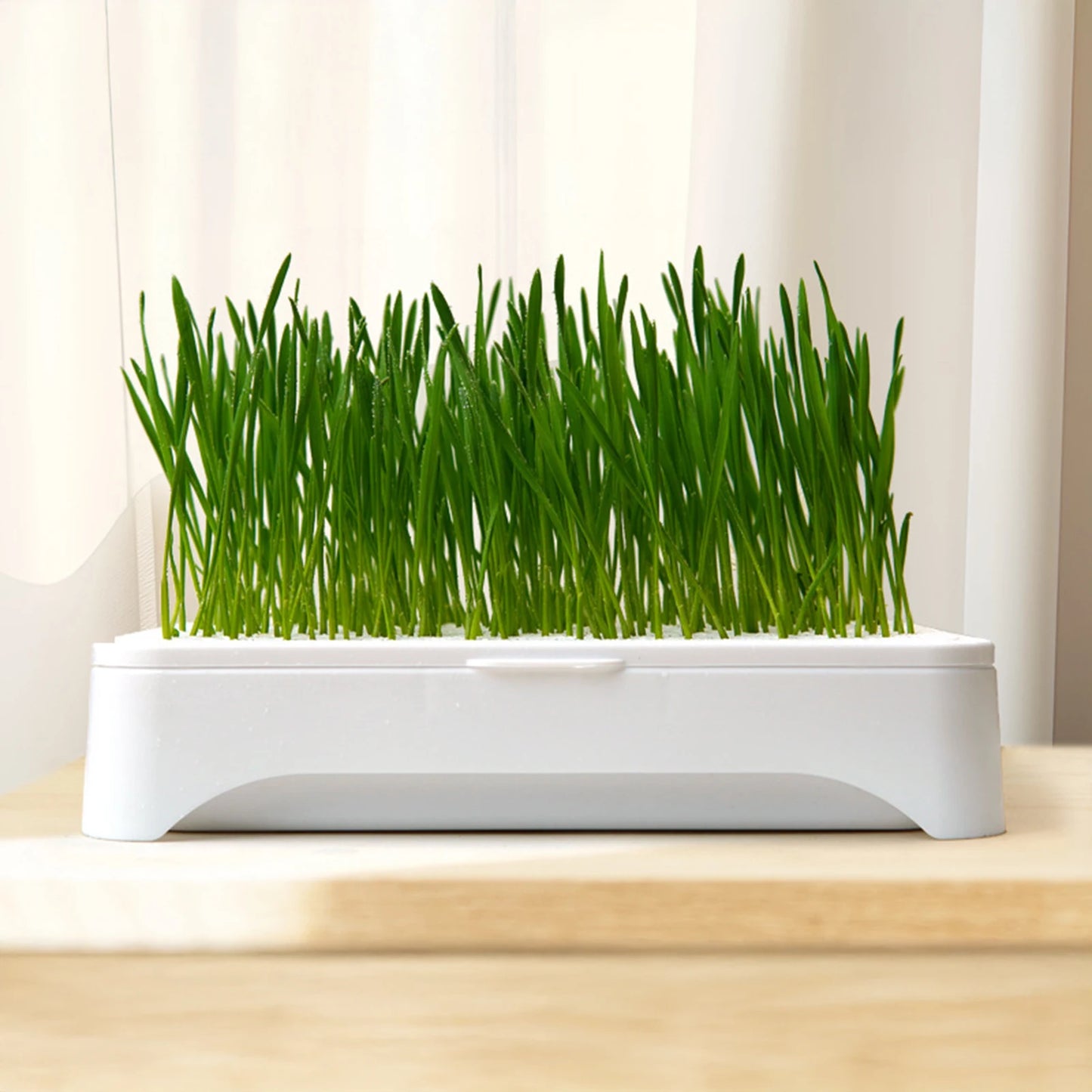 Pet Cat Grass Planting Basin Soilless Culture Wheat Seedling Pot Kitten Grass Hydroponic Device Horticultural Planting Pot