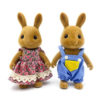 Brown Rabbit