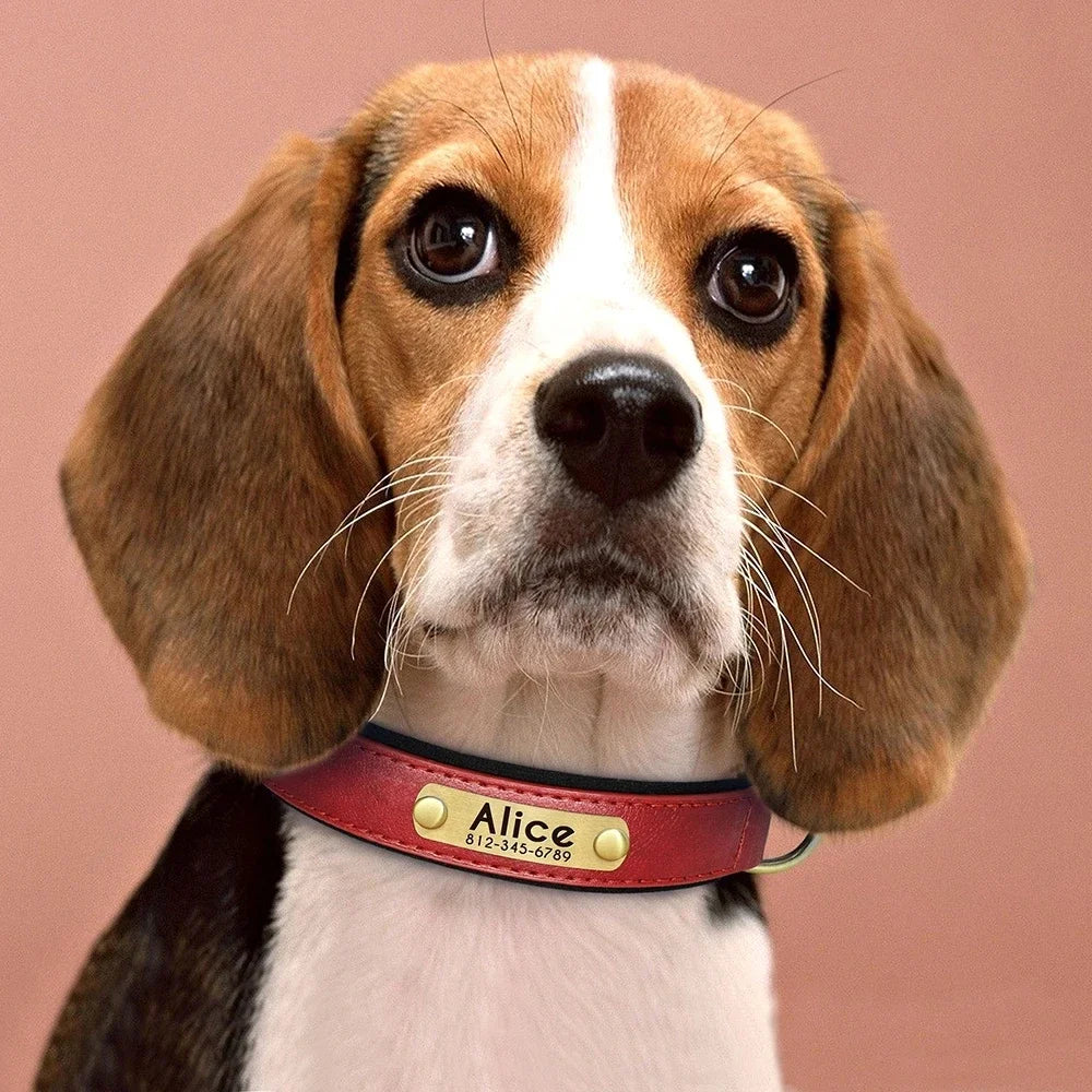 Personalized Customized Leather ID Nameplate Dog Collar Soft Padded Dogs Collars Free Engraving Name for Small Medium Large Dogs