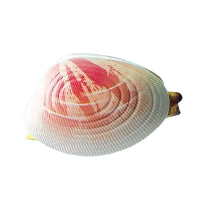 Simulated Water Spraying Clam Toy Prank Toy Water Simulation Shell Toy Children's Mini Water Gun Summer Playing for Boy