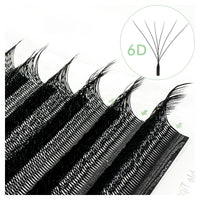 6D W Black