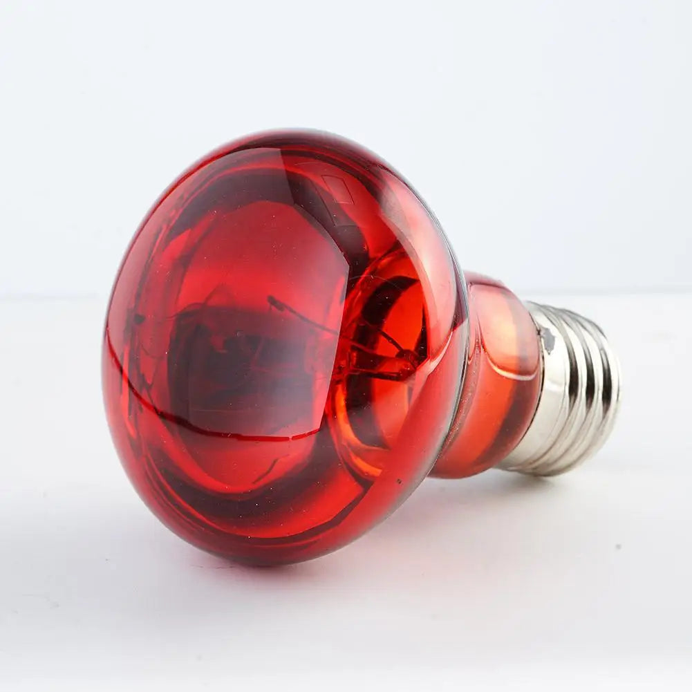 E27 Poultry Heating Bulb 25W-100W Infrared Insulation Heating For Reptiles Plants Amphibians Pets Livestock Lamp Tools