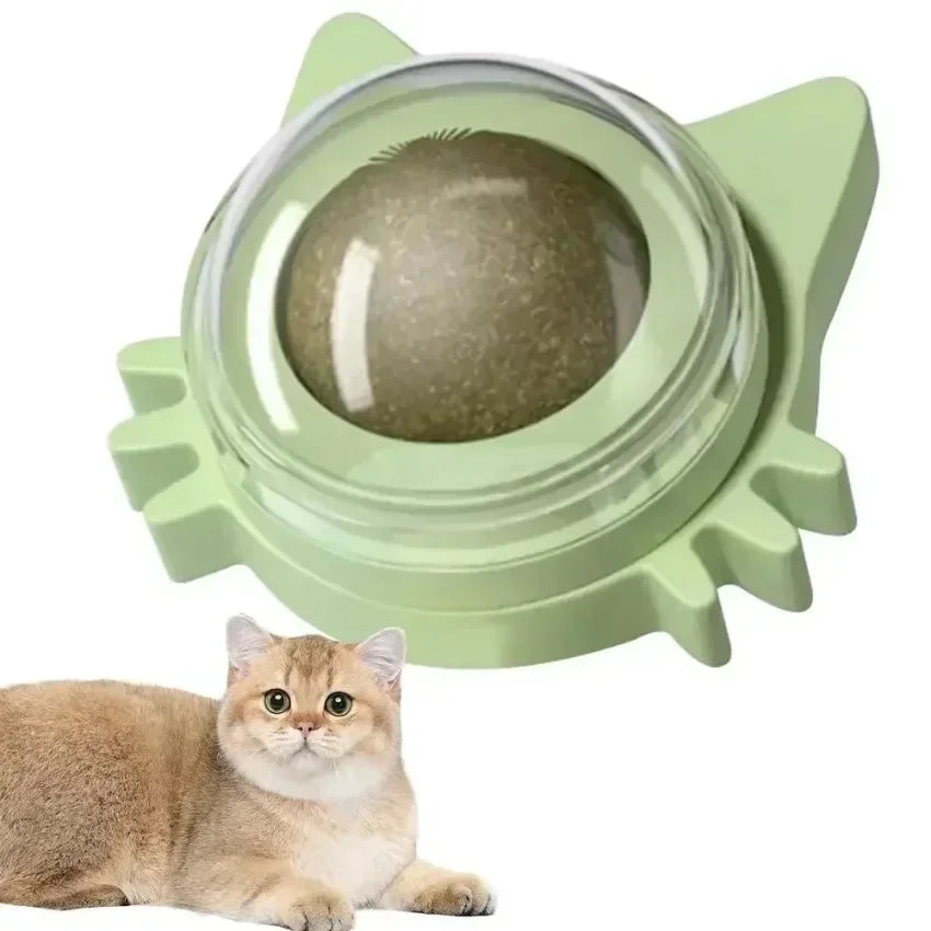 Lickable Catnip Balls Toy, Teeth Cleaning Chew Toy with Natural Catnip for Kittens & Cats, Sticks to Wall & Window