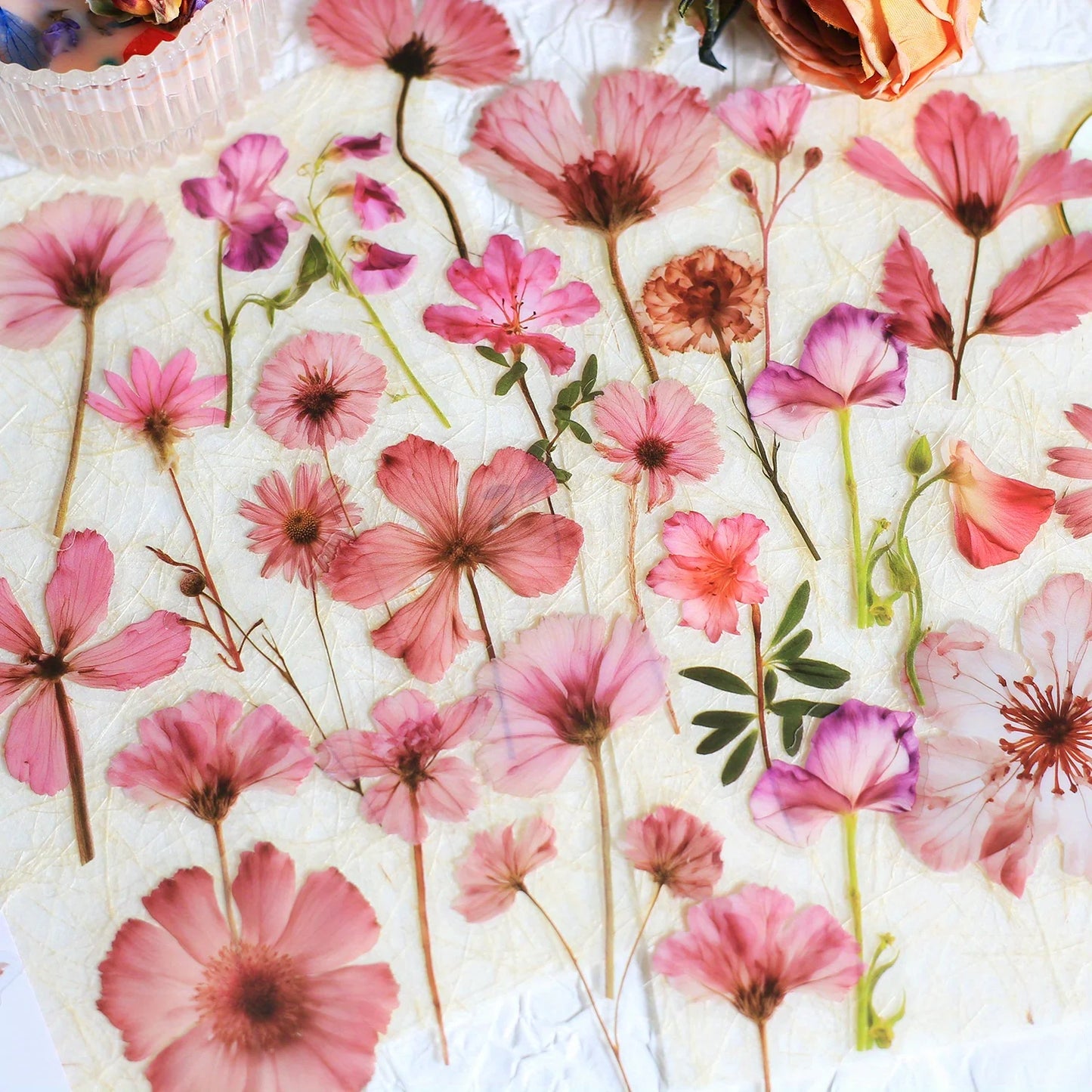 Journamm 50Pcs Transparent Decoration Flower Stickers for Scrapbooking PET Floral Stickers for Journaling Scrapbooking