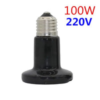 220V-100W