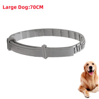Dog 72cm OPP