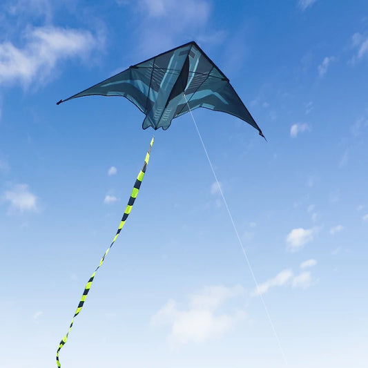 Yongjian 2m Aircraft Kite Delta Kite Suitable for Outdoor Camping with Large Adult Kites Beach Camping Activities