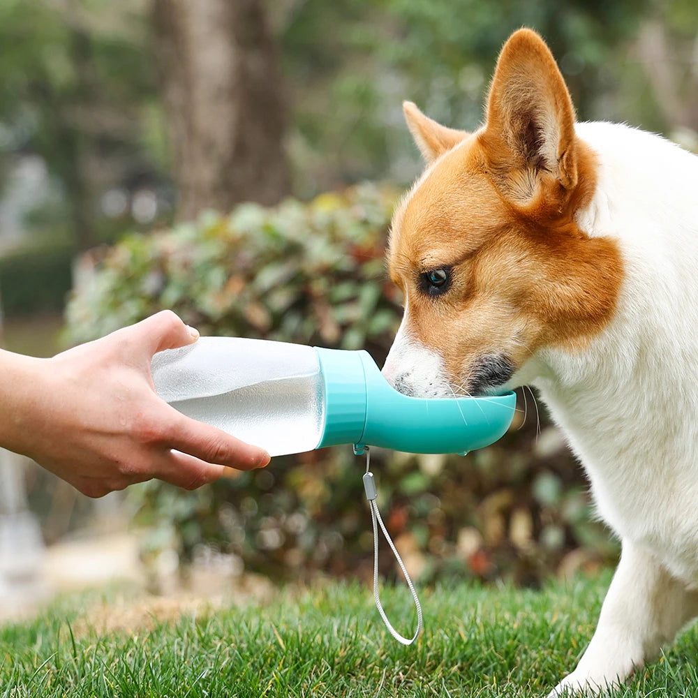 Puppy Water Bottle Portable Dog Drinking Bowls For Small Big Dogs Cat Outdoor Leakproof Pet Water Dispenser Feeder Pug Supplies