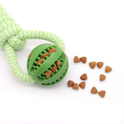 Dog Hollow Ball Toy Rubber Chew Toys for Dogs Cleaning Teeth Molar Bite Resistant Toy with Bell Puppy Training Game