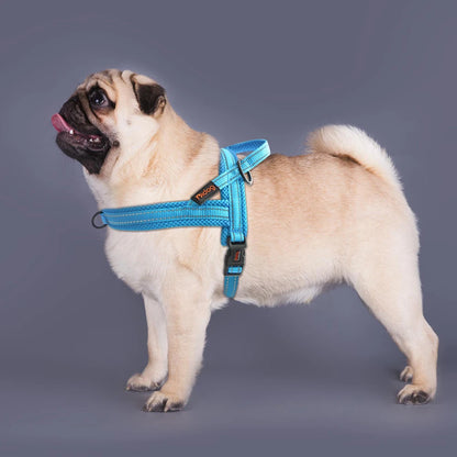 Warm Dog Harness Vest Winter Dog Harnesses Soft Padded Pet Training Harnesses Vests Adjustable For Small Large Dogs Bulldog Pug