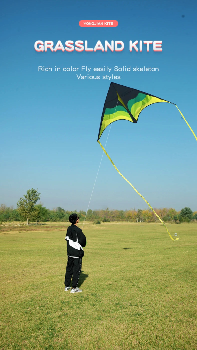 YongJian Large Beach Delta Kite for Adults  Extremely Easy to Fly for Beginners Comes with 100m String Kite Handle
