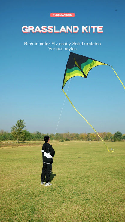 YongJian Large Beach Delta Kite for Adults  Extremely Easy to Fly for Beginners Comes with 100m String Kite Handle